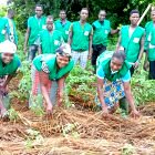 Jeunes producteurs du REJEPPAT