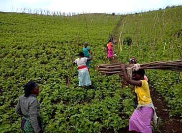 Autonomisation des Jeunes Femmes Rurales