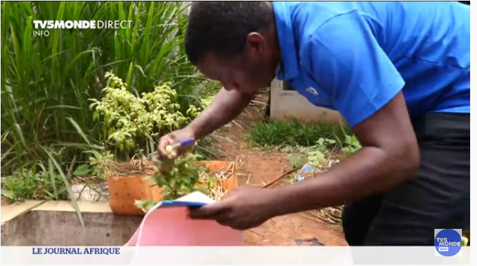 Togo : le boom du bio