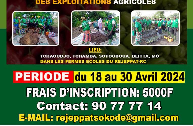 le Réseau des JeunesProducteurs et Professionnels Agricoles du Togo  Région Centrale (REJEPPAT-RC) lance un appel à candidature pour la  sélection de 114 jeunes agriculteurs (trices)