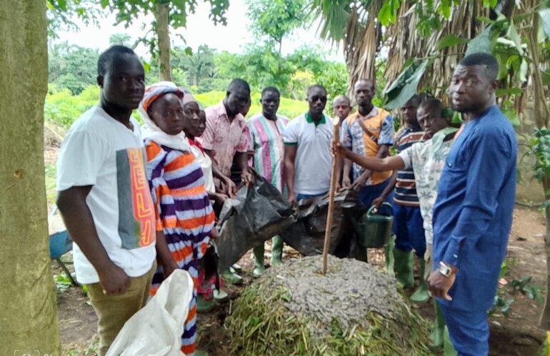 Formation  de quinze (15) paysans relais et cinq (5) CTGEA de la préfecture de Tchamba sur les pratiques agroécologique.