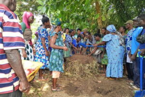 Le REJEPPAT a mis en place plusieurs fermes écoles agroécologiques destinées à former les jeunes producteurs agricoles aux techniques agricoles modernes et respectueuses de l’environnement.