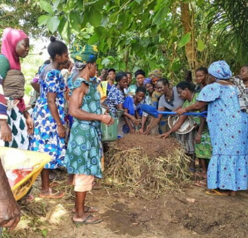 Le REJEPPAT a mis en place plusieurs fermes écoles agroécologiques destinées à former les jeunes producteurs agricoles aux techniques agricoles modernes et respectueuses de l’environnement.