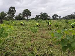 Dans le cadre de la lutte contre la dégradation environnementale, le REJEPPAT mène des actions de reboisement et de restauration des terres dégradées dans plusieurs communautés rurales.