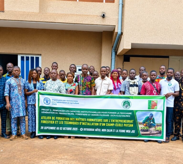 Entrepreneuriat forestier : LE REJEPPAT renforce les capacités de 22 maîtres formateurs à Sotouboua